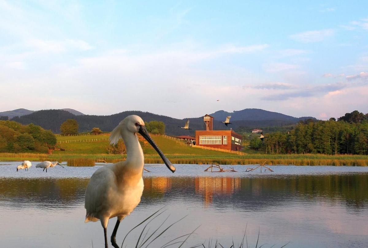 Adosado En La Costa Con Excelentes Vistas Al Estuario De Urdaibai Villa Mundaka Exteriör bild